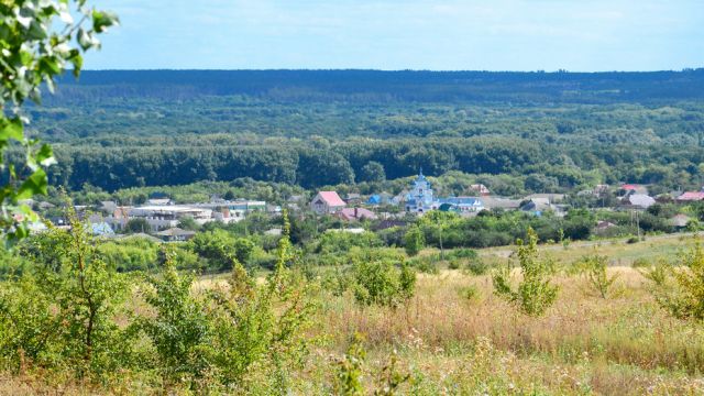В лискинском селе Щучье появится общественный фруктовый сад