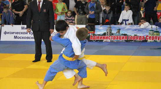 В октябре в Воронеже откроется новый спортивный клуб «Дзюдо Черноземье»