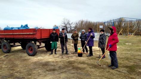 Воронежцы убрали 10 тыс т мусора в ходе октябрьского месячника благоустройства
