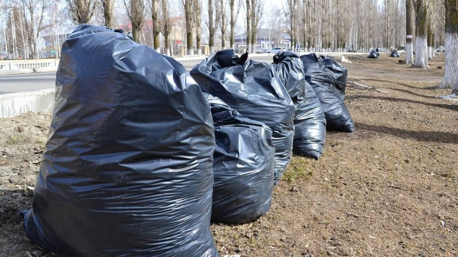  Жители Грибановского района убрали мусор на трассе «Курск-Борисоглегбск»