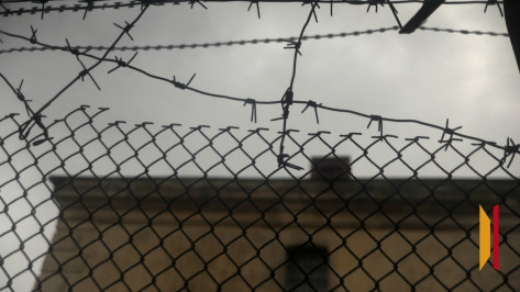 В Воронежской области закладчик получил 15 лет колонии за сбыт метилэфедрона