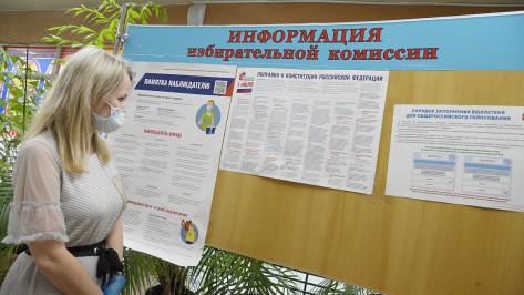 Без происшествий. В Воронеже прошел 1-й день голосования по поправкам в Конституцию