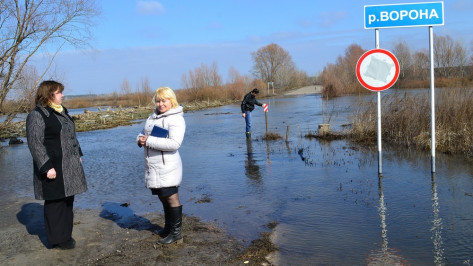 В Грибановском районе паводок пошел на спад