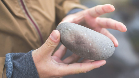 В Воронеже на видео попали подростки, сбрасывающие булыжники с крыши многоэтажки