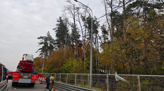 Воронежцев предупредили об ограничении движения автомобилей в районе спорткомплекса «Олимпик»