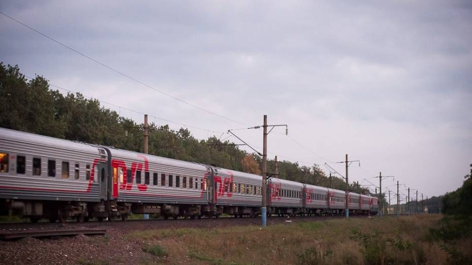 В Лискинском районе поезд сбил глухонемого пенсионера 