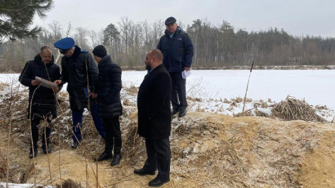 Прокуратура возбудила административные дела за загрязнение леса отходами под Воронежем