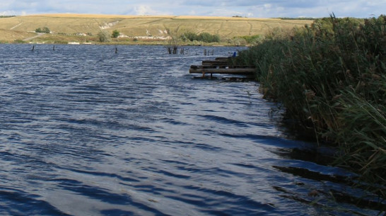 Тело почтальона нашли в реке Черная Калитва в Воронежской области