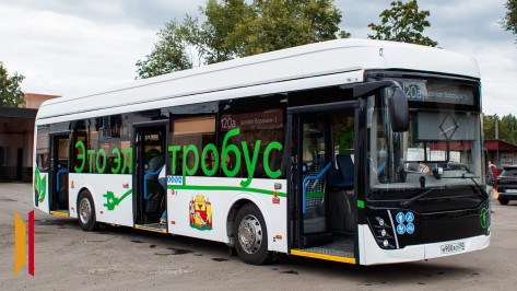 Экономичный, экологичный и тихий: в Воронеже представили первый электробус