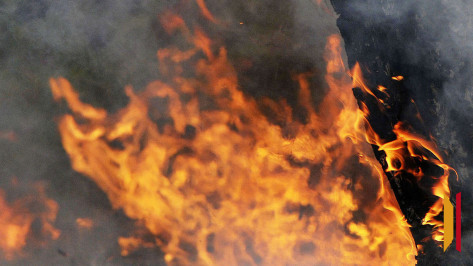 Воронежец попытался зарезать 19-летнюю сожительницу и поджег ее квартиру