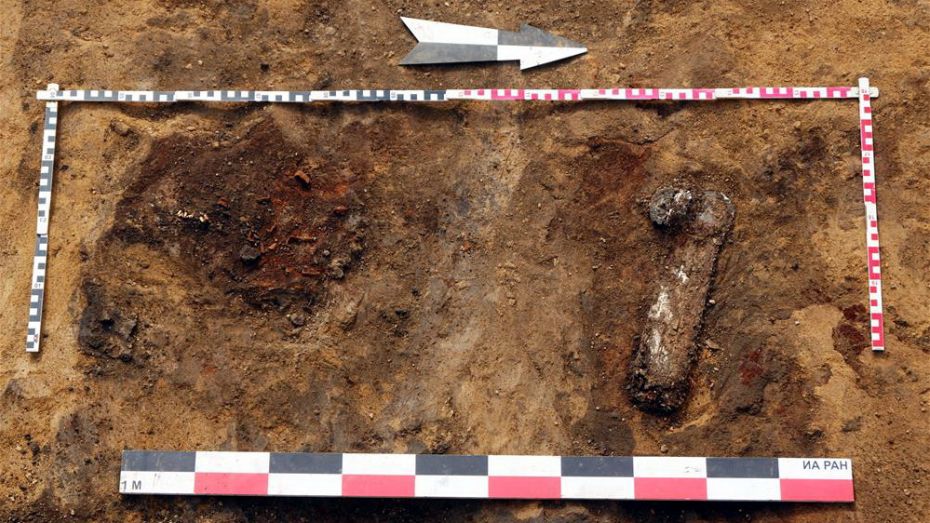 Археологи нашли уникальный скифский артефакт в Воронежской области