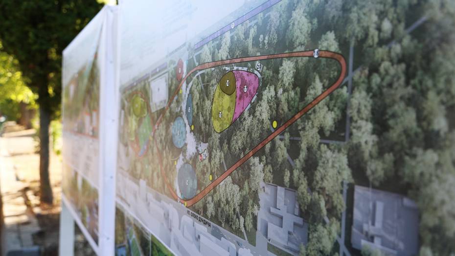  В воронежском парке «Танаис» предложили возвести 2-уровневую велодорожку