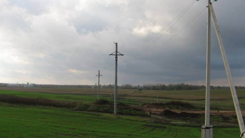 В Воронежской области на высоковольтной линии опоры передач обнаружили тело молодого человека