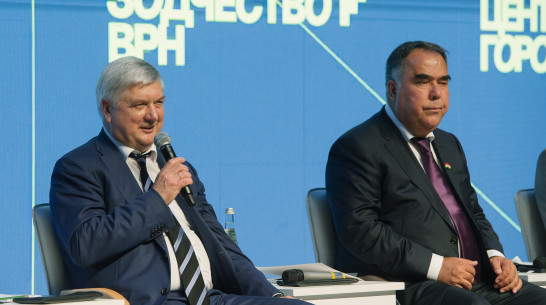 «Необходимо сохранить историческую неповторимость»: воронежский губернатор – о развитии крупных городов