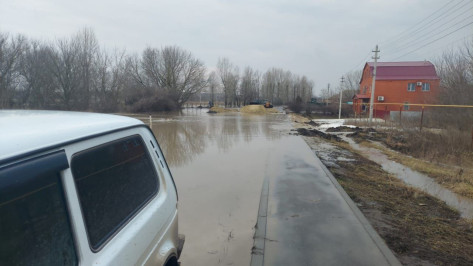 Село в Кантемировском районе Воронежской области затопило жидкими отходами