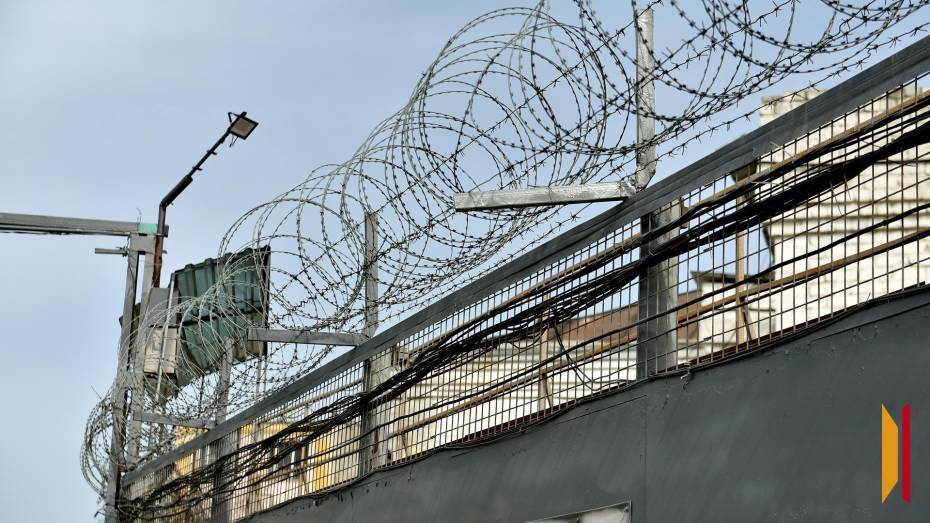 Воронежец получил два года колонии за призывы к терроризму в Telegram