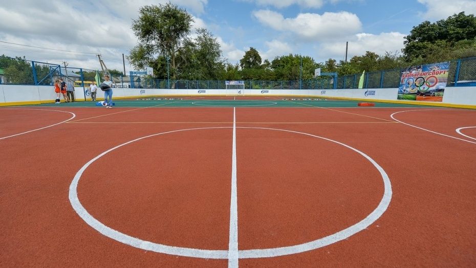 Мэрия объявила торги на строительство спортплощадок при 5 школах в Воронеже