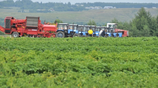   Темпы роста сельхозпроизводства в Воронежской области превышают общероссийские в три раза