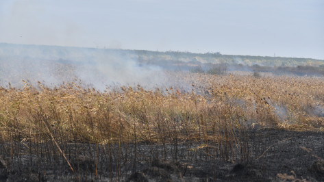 Воронежский губернатор поручил за 2 недели разработать новые противопожарные меры