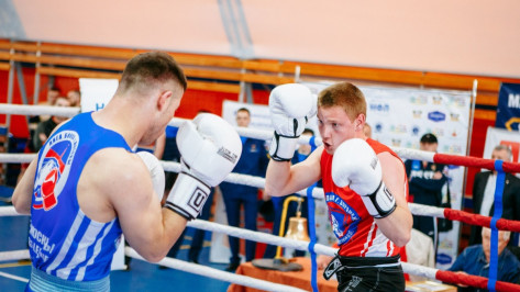 В Воронеже прошел «Турнир сильнейших» Лиги бокса России