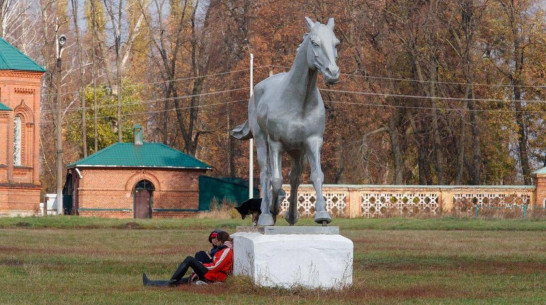 На установку памятника коню в Воронежской области выделят более 20 млн рублей