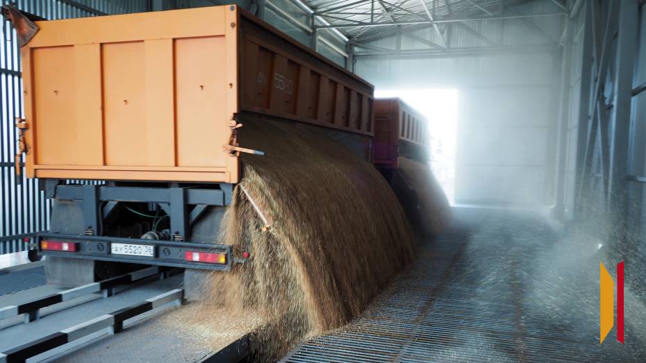 В Воронежской области выставили на продажу действующий элеватор за 150 млн рублей