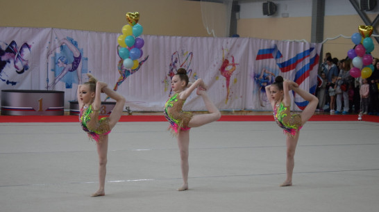 Грибановские гимнастки взяли 8 золотых медалей на открытом турнире в Волгограде