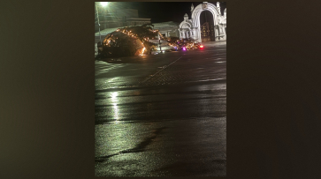 В Бутурлиновке Воронежской области ветер повалил новогоднюю елку
