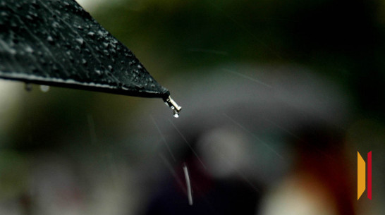 Дождливая рабочая неделя ожидает воронежцев