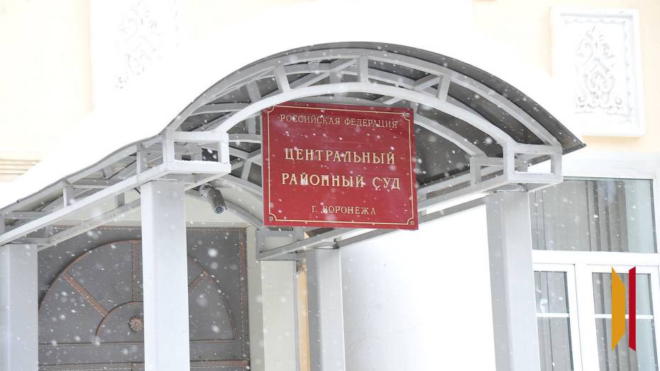 Девушку, обматерившую полицейских в центре Воронежа, оштрафовали на 1 тыс рублей