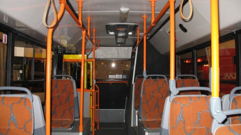 Прокуратура Воронежской области нашла нарушения при перевозке пассажиров