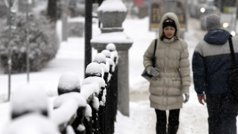 Мэр поручил активизировать вывоз снега с узких дорог в центре Воронежа и уборку тротуаров