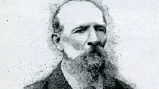 На Столлевском фестивале воронежцы сразят в «Что? Где? Когда?» с краеведами (ПРОГРАММА)