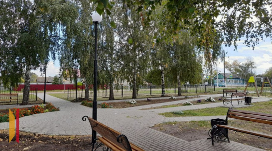 Краеведческий фестиваль «Родной край» проведут в Панинском районе