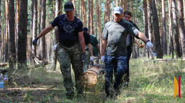 Жителей Поворинского и ближайших районов позвали на заготовку бревен для СВО