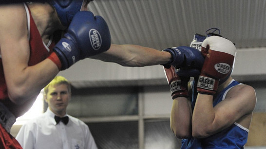 В Воронеже стартовал новый сезон Лиги бокса Черноземья