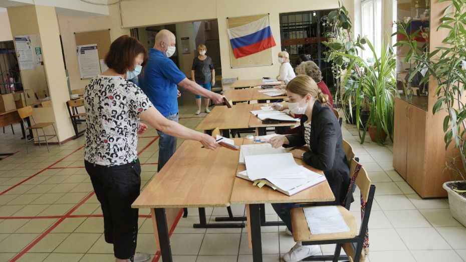 Воронежский облизбирком спрогнозировал явку на выборах в 52%