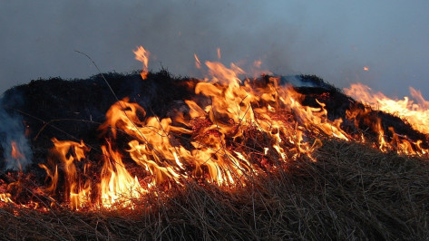 Ландшафтные пожары за день накрыли в Воронежской области более 67 га
