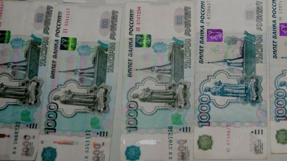 Житель Воронежской области обманул банк на 300 тыс рублей