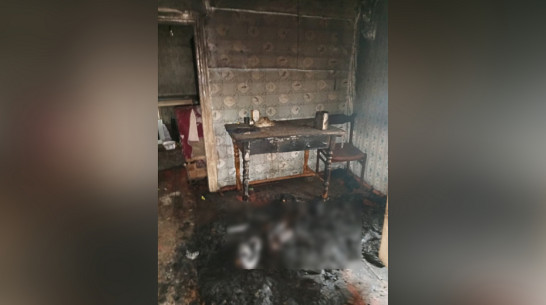 На пожаре в селе Мазурка Воронежской области погиб 65-летний мужчина