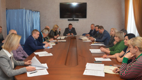Воронежские депутаты подняли вопрос строительства надземного перехода у мегашколы