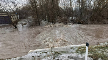 В Воронежской области прокуратура взяла на контроль ситуацию с затоплением домов в Ольховатском районе