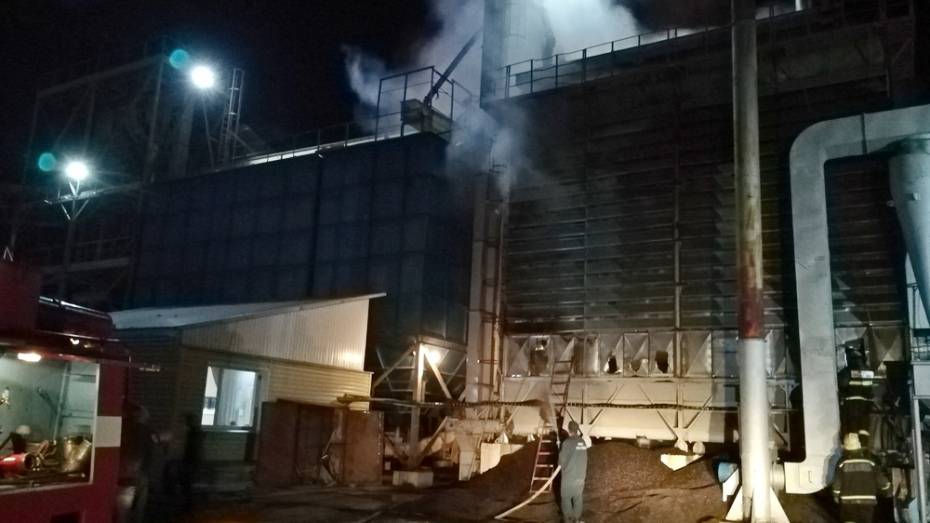 В Борисоглебске на маслозаводе сгорело 25 т семян подсолнечника