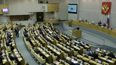 Воронежские депутаты Госдумы в 2015 году заработали 74,2 млн рублей