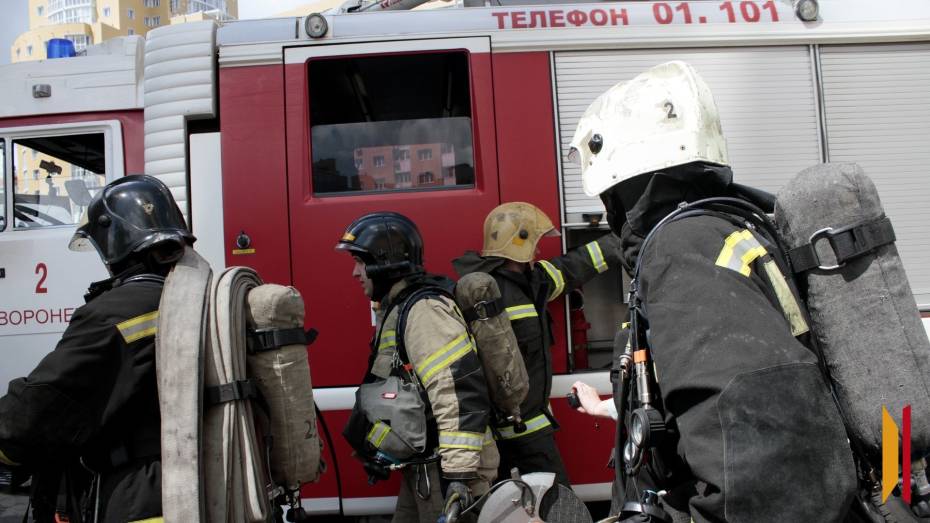 Более 60 воронежцев погибли на пожарах в Воронежской области с начала года