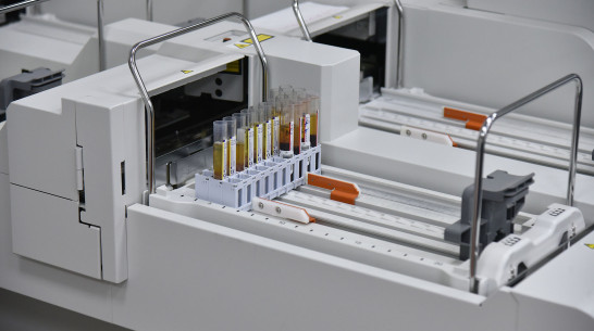 Ковид побил антирекорд по числу зараженных за сутки жителей Воронежской области