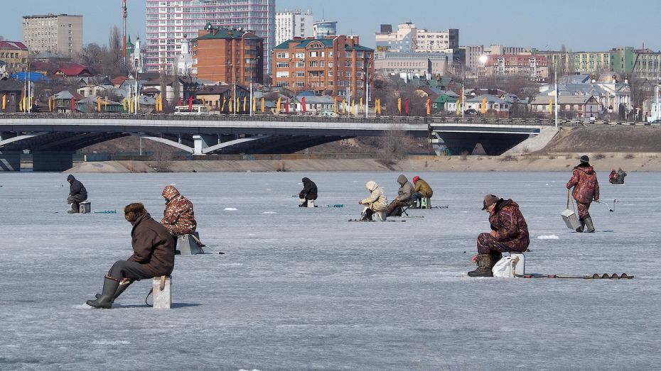 Спасатели предупредили воронежских рыбаков об опасности выхода на лед «по теплу»