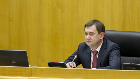 Председатель Воронежской облдумы Владимир Нетесов: в 2024 году парламентарии рассмотрят 67 законопроектов