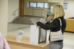 «Мы 8 лет этого ждали». Жители ЛДНР начали голосовать на референдуме в Воронежской области