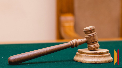 Воронежца отправили в колонию на 1,5 года за экстремистские комментарии в интернете